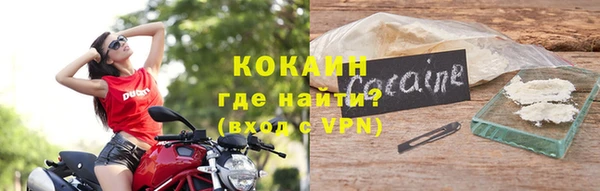 стафф Корсаков