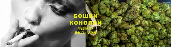 стафф Корсаков