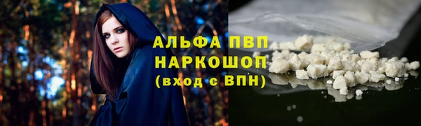 стафф Корсаков