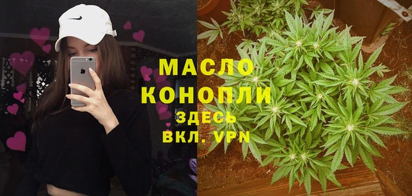 стафф Корсаков