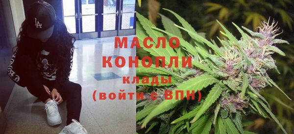 молекула духа Костерёво