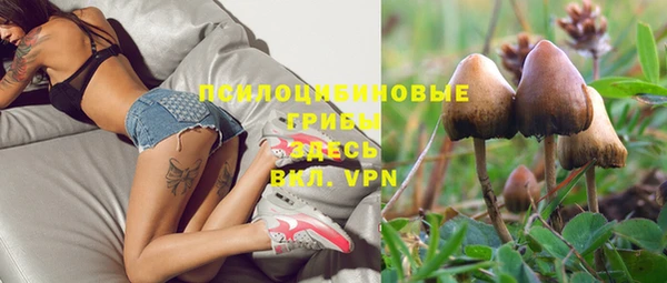 стафф Корсаков