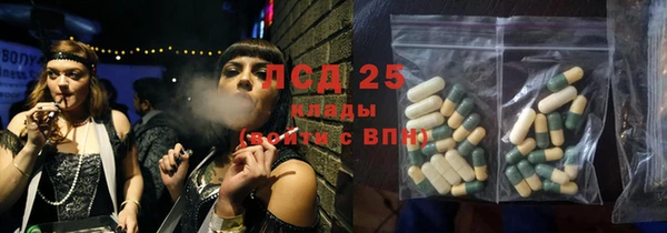 стафф Корсаков